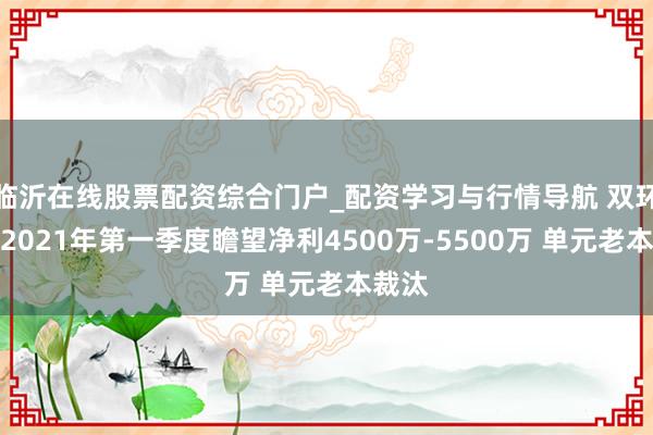 临沂在线股票配资综合门户_配资学习与行情导航 双环传动2021年第一季度瞻望净利4500万-5500万 单元老本裁汰