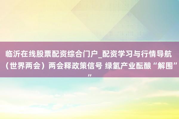 临沂在线股票配资综合门户_配资学习与行情导航 （世界两会）两会释政策信号 绿氢产业酝酿“解围”
