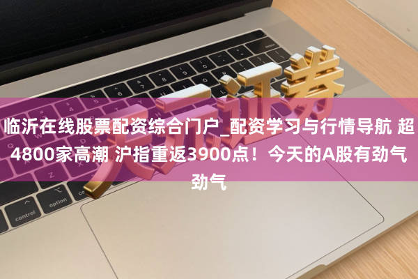 临沂在线股票配资综合门户_配资学习与行情导航 超4800家高潮 沪指重返3900点！今天的A股有劲气