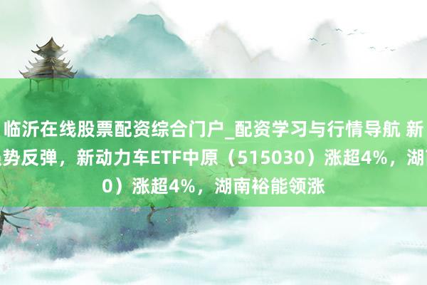 临沂在线股票配资综合门户_配资学习与行情导航 新动力板块强势反弹，新动力车ETF中原（515030）涨超4%，湖南裕能领涨