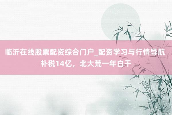 临沂在线股票配资综合门户_配资学习与行情导航 补税14亿，北大荒一年白干